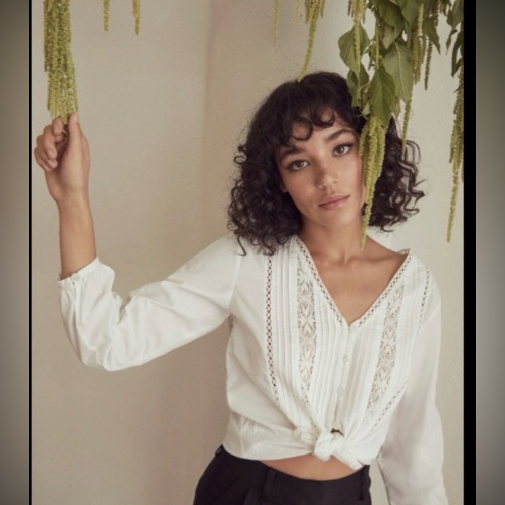 Vetta Capsule White Lace Button-Up Blouse Small S NWT